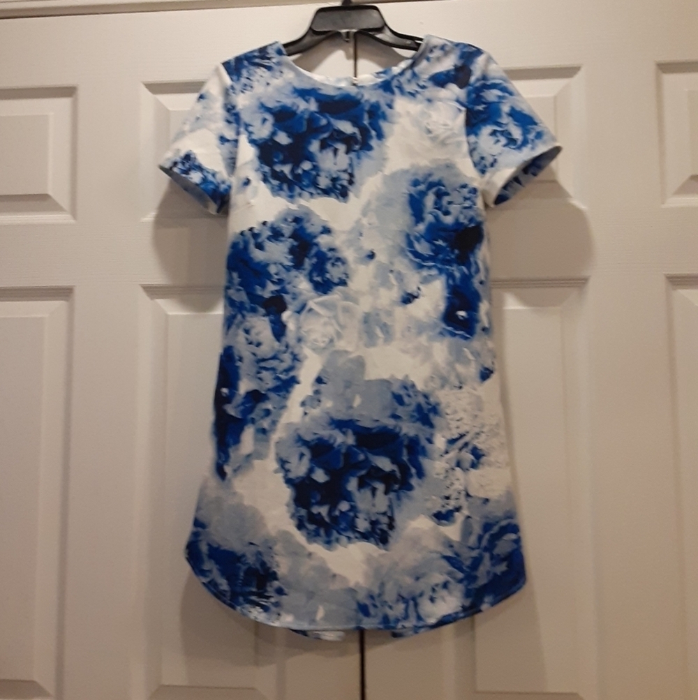 WYLDR Whitley Blue & White Rose Floral Watercolor Shift Dress Mini Size S